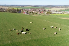 DJI_0059